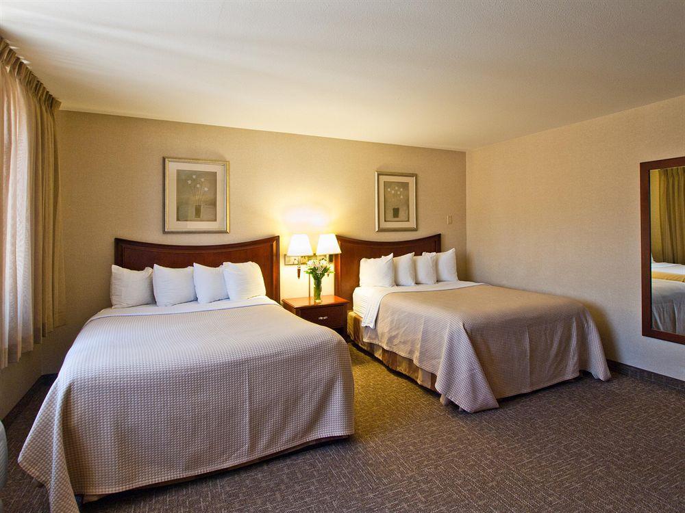 Best Western University Inn Fort Collins Rom bilde