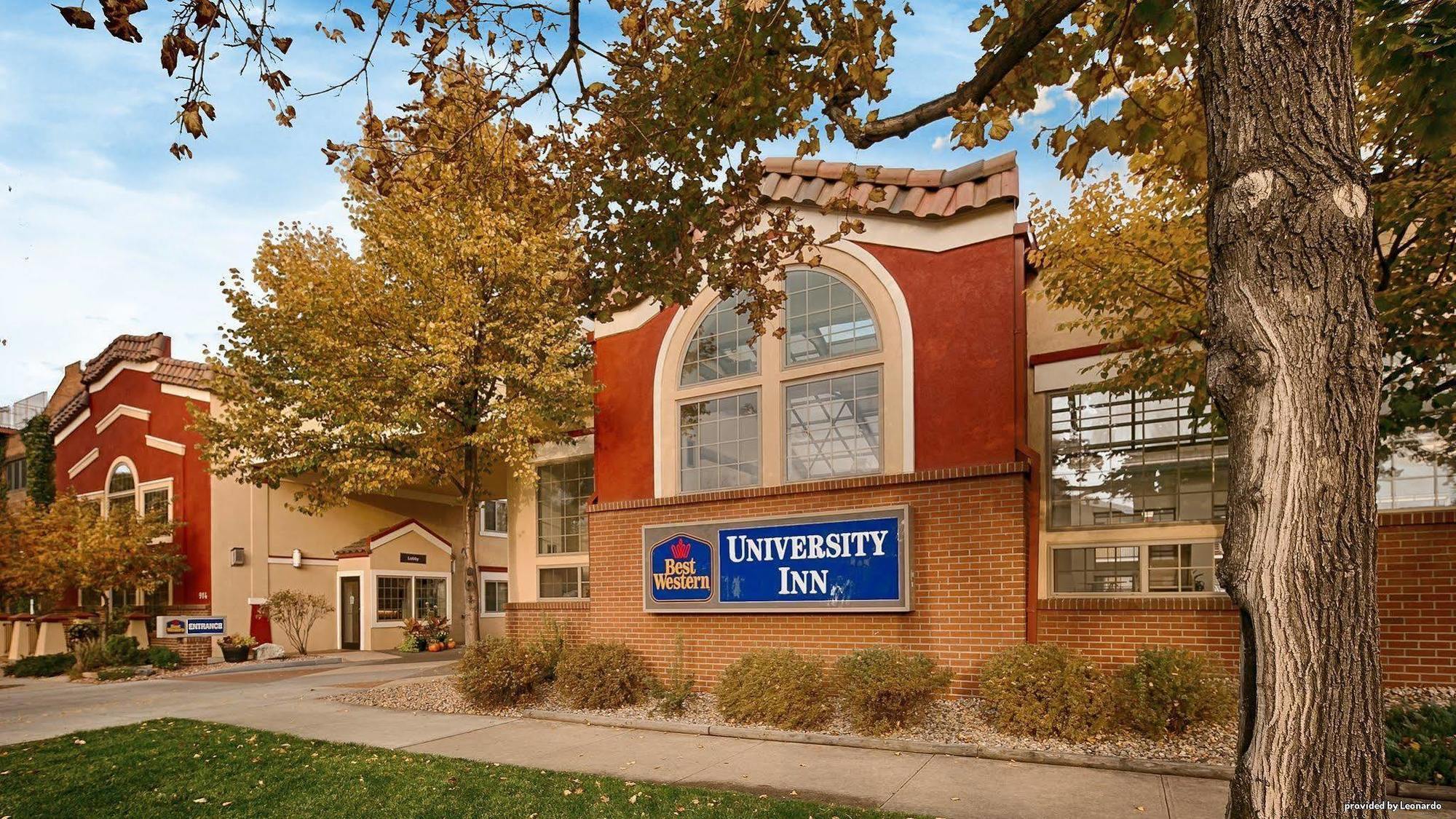 Best Western University Inn Fort Collins Eksteriør bilde