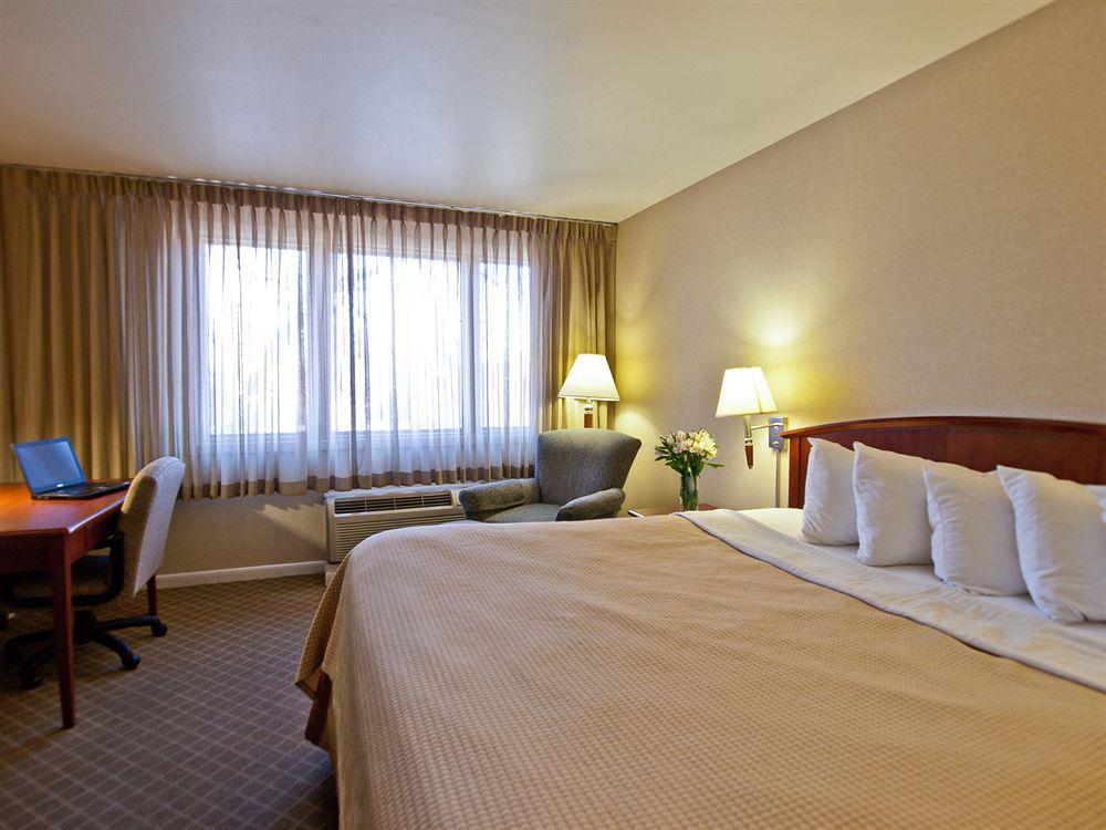 Best Western University Inn Fort Collins Rom bilde